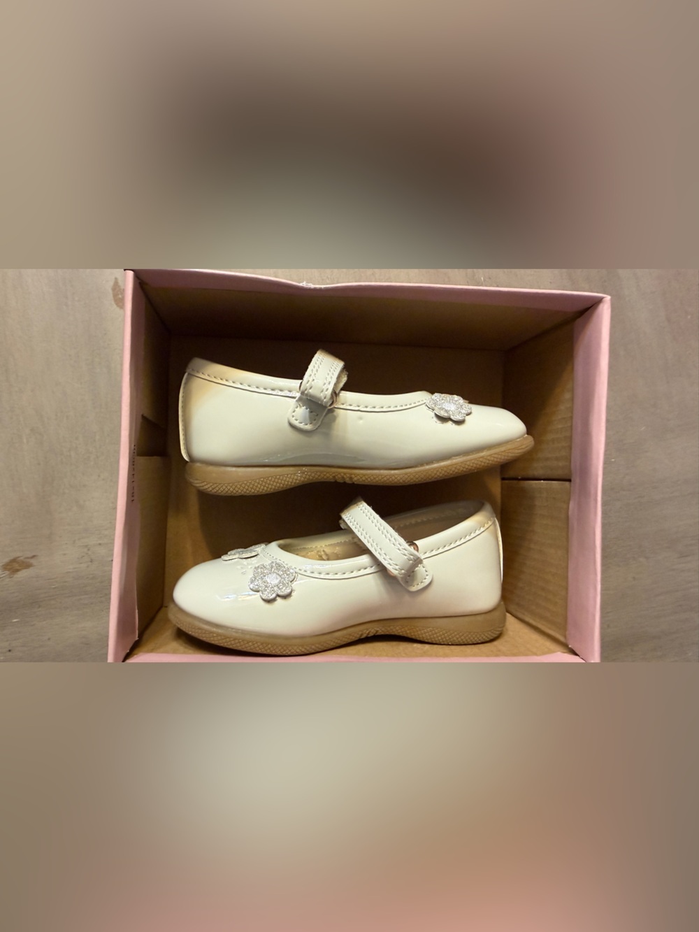 Rachel girls flower and butterfly dress shoes 6C with box